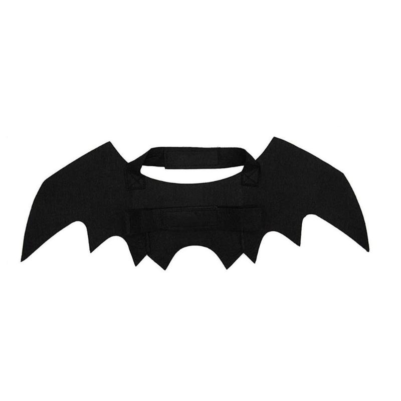 

Cat Costumes Halloween Costume With Bat Wings And 2 Pumpkins, Bells, For Small Dogs CatsVersatile Durable