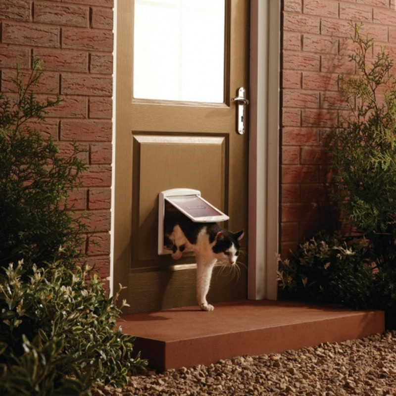 

2021 New Puppy the Pet Doghole Felis Animals Tunnel Dog of Entry Frame Safe Cathole Flap Gate Cat Toys 9tzw