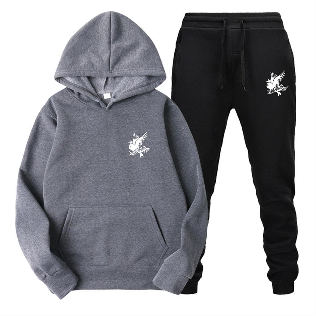 

clothing white birds printing mens tracksuit sets gothic harajuku sports style graphic hoodies fashion trend streetwear, Gray