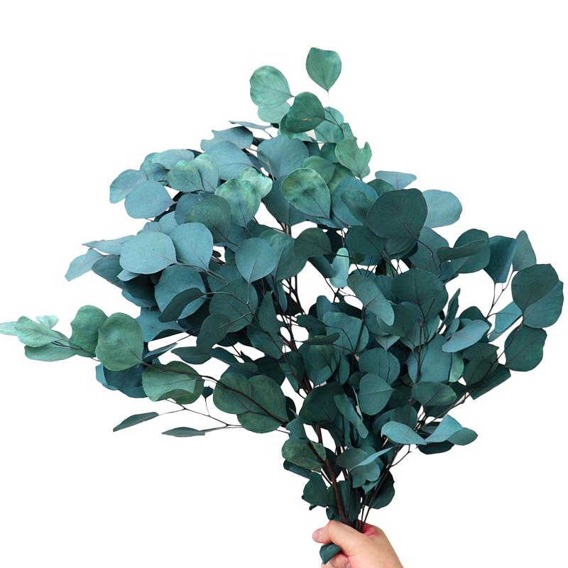 

Natural Preserved Eucalyptus Leaves Bouquet Immortal Dried Flower For For Wedding Decor Display Flower Home Decoration, Blue