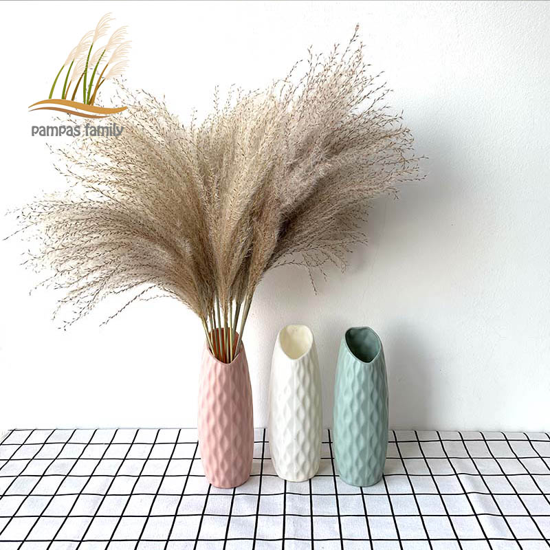 

Wedding Fowers Pampas Grass Pants Decor Natura Dried Fower Bouquets Feather Decoration Contains Coored Pastic Vase, 20pcs with vase