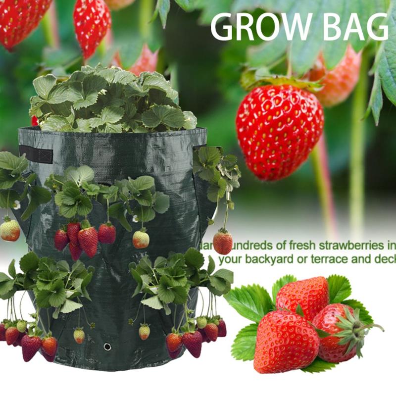 

Planters & Pots 3 Gallons PE Strawberry Grow Bag Garden Hanging Plants Vegetable Flower Planter Container Nursing With Handles