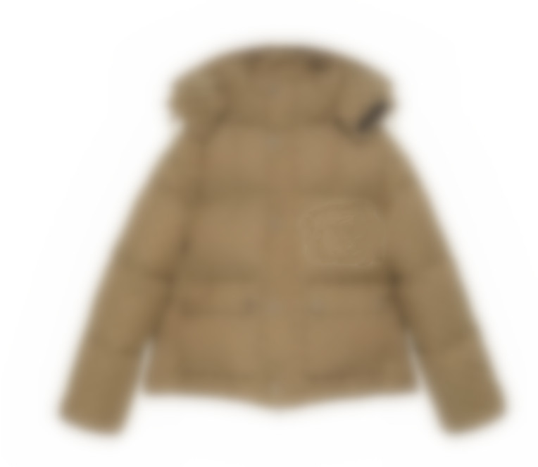 

Men Brown Canvas Padded Down Jacket Designer Women Zipper Pockets Nylon Coat Hooded Drawstring Winter Warm Outwear, Dustbag