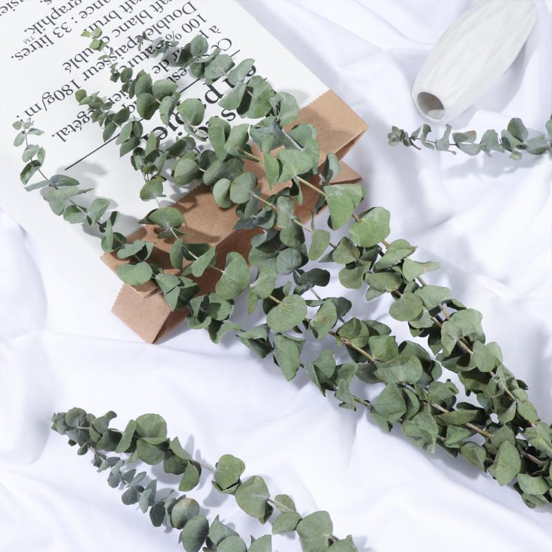 

Real Dried Eucalyptus Branches Preserved Fresh Flower Bouquet Natural Wedding Green Plant Leaves For Garden Home Decorations, Type 7