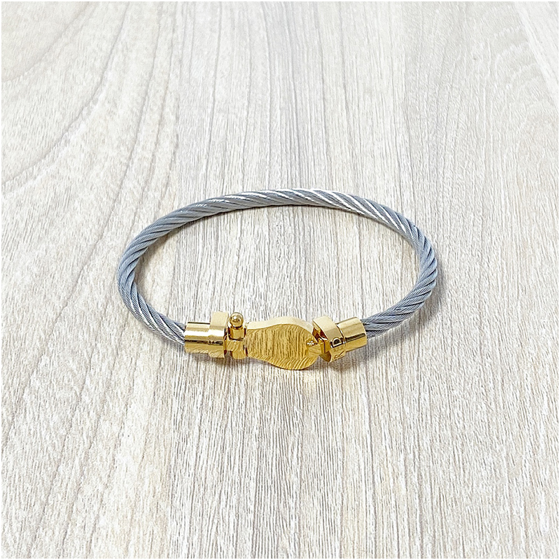 Fashion Bracelet Stainless Steel Wire Rope Magnetic Buckle Horseshoe Bangle U-Shaped Head Micro Inlaid Bracelets Accessories With Jewelry Pouches Wh