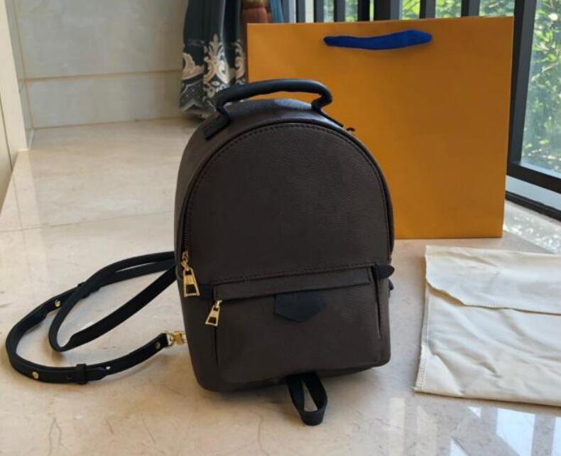 

Fashion Europe genuine leather mini Palm Springs women bag Famous PALM SPRINGS handbags backpack women's Shoulder bag chain backpacks