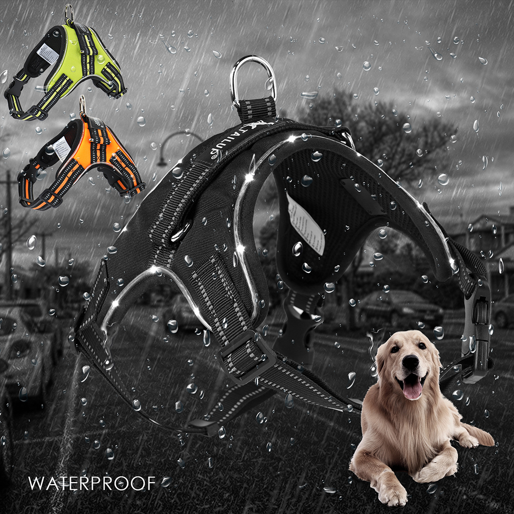 

2021 New Reflexive Tensions Dogs with Led Collectors 3 Color Collars and Harnesses Adjustment Dog Collar Macro Estimating Animal Comfort All