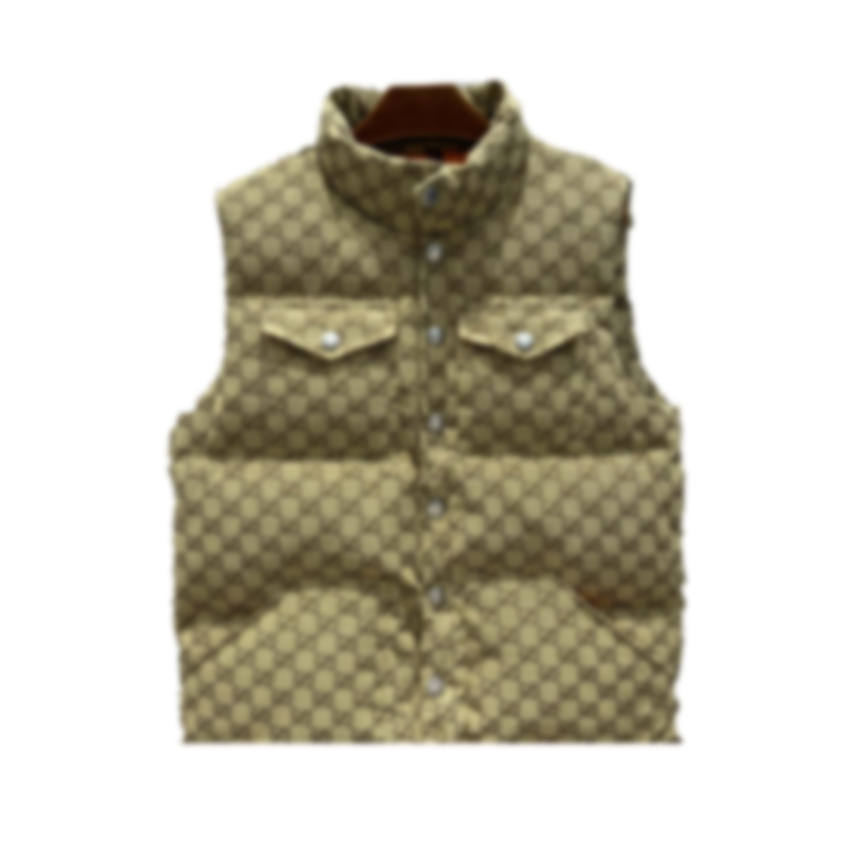 

Famous Designer luxury Men Women G Vest Co-branded Canada North Winter Down jacket Coat Thicken Man Woman Clothing Keep Warm Windproof Unisex -XXL, Green