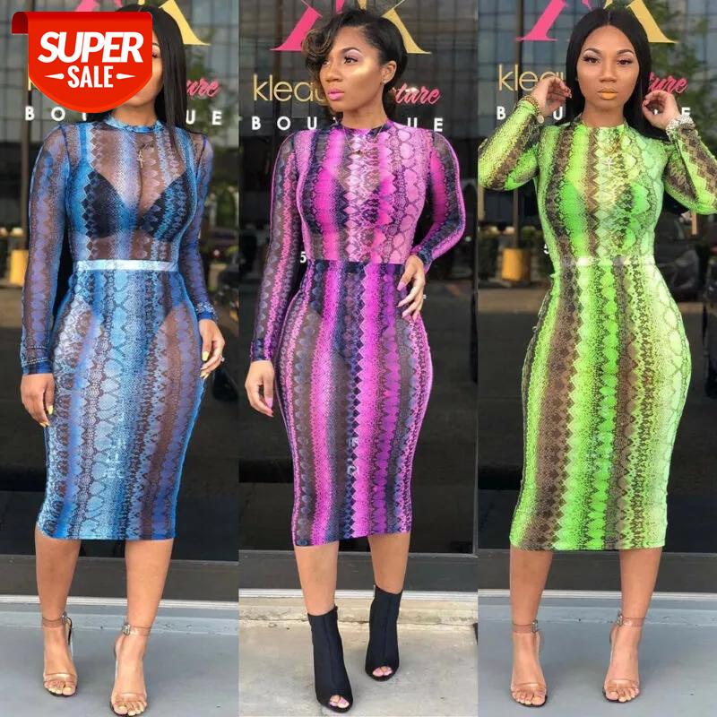 

Women's Snake Print Bodycon Sheer Mesh Dress Sexy Ladies Long Sleeve Party Club Slim Fit Dresses Sundress #ma4f, Black;gray