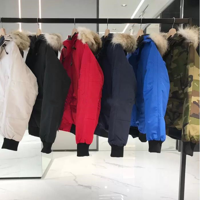 INS Designer winter jacket Canada parkas men women canadian goode downs White duck down hoody padded coats parka parker coat jackets mens womens coat long, Look other product