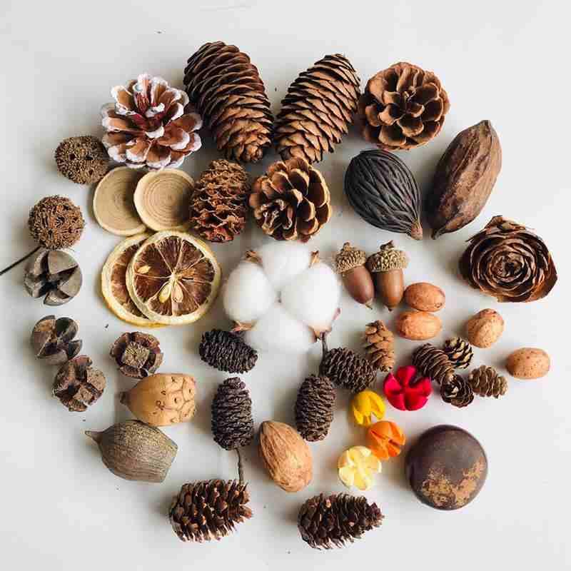 

Decorative Flowers & Wreaths YOMDID Natural Dried Plants Pine Cone Acorn Wholesale Flower For Home Christmas DIY Garland Wreath Wedding Deco, 13