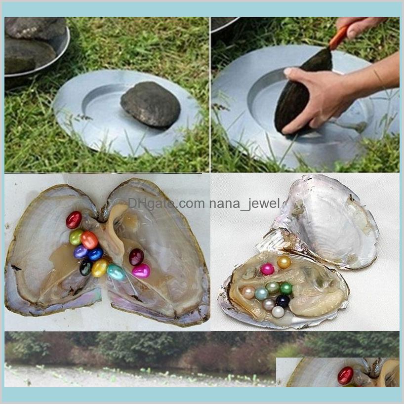 

Round Oyster Pearl 6-9Mm 20 Mixed Color Big Freshwater Natural Wish Pearl Loose Beads Vacuum Package Jewelry Diy Birthday Gifts Bhpiz Dhtvm, White
