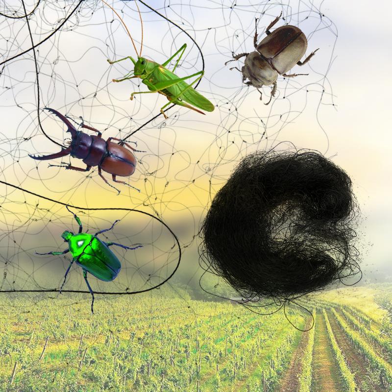 

Shade Mayitr 3 Size Orchard Plant Fruit Agricultural Mesh Black Anti Bird Mist Netting Net Garden Pest Controll Tools Tool, 3x6m