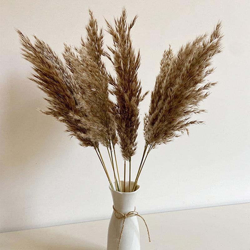 

Decorative Flowers & Wreaths Dried Reeds Natural Plants Bunch Small Pampas Grass DIY Craft Wedding Bouquet Pography Props Home Decoration Su, 02-10pcs