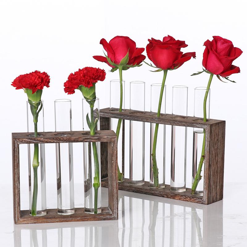 

Water Planting Glass Vase, Test Tube Planter Modern Flower with Retro Solid Wooden Stand Tabletop