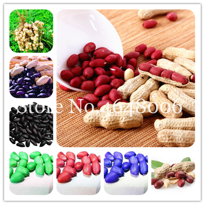 

10 Pcs seeds High Yield Peanut Bonsai Chinese Organic Rare Vegetable Plants Semillas For Garden Germination Rate 95% Natural Growth Variety of Colors Aerobic Potted