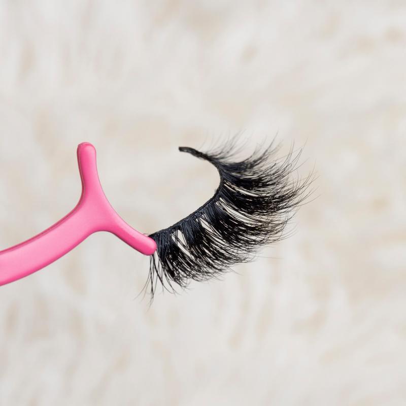 

Custom Logo Eyelash Case 5D Mink Lashes Private Label