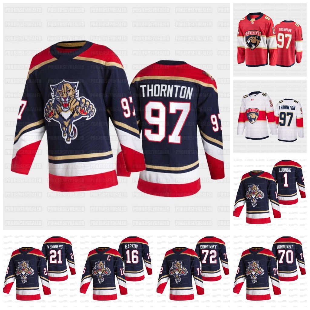 

Joe Thornton Florida Panthers 2021 Jersey Sam Reinhart Patric Hornqvist Sergei Bobrovsky Alexander Wennber Barkov Aaron Ekblad Keit Nikita Gusev Gibson, 2019 golden edtion mens s-3xl