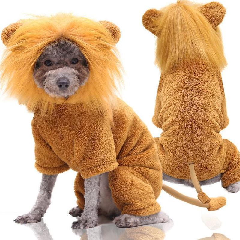 

Fashion Pet Dog Clothes Winter Lion Cartoon Hoodie French Bulldog Biped Pug Teddy Corgi Poodle Puppy
