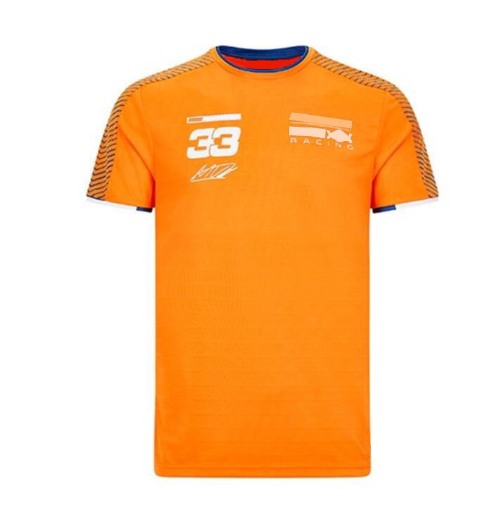 

2021 Formula One racing Polo sweatshirt, large size can be customized with the same F1 clothing polyester quick-drying car fan series