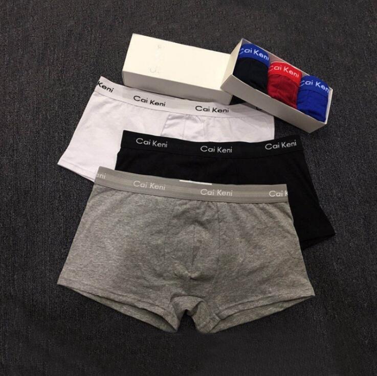 

3pcs lot Mens Underwear Boxer Shorts Modal Sexy Gay Male Ceuca Boxers Underpants Breathable New Mesh Man Underwear M-XXL High Quality, Gray