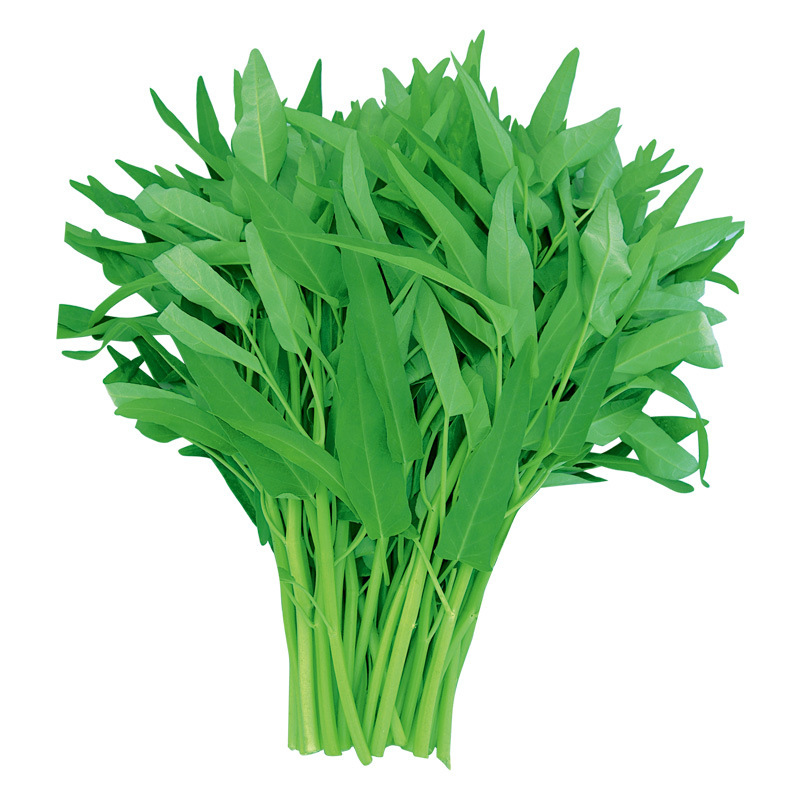 

10 Gram Water Spinach Vegetable Bonsai Kangkong, River Spinach seeds, Chinese Spinach or Watercress Easy-growing shipping