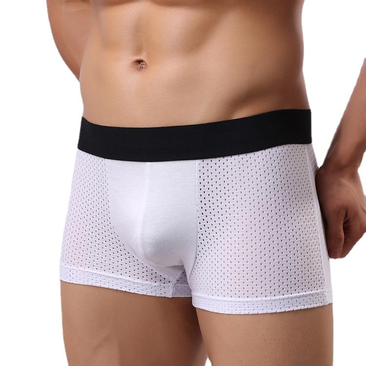 

Underpants Sexy Men Boxer Briefs Underwear Gay Mesh Hollow See-Through Panties Hombre Slip Boxershorts High Quality Boxers, Red briefs