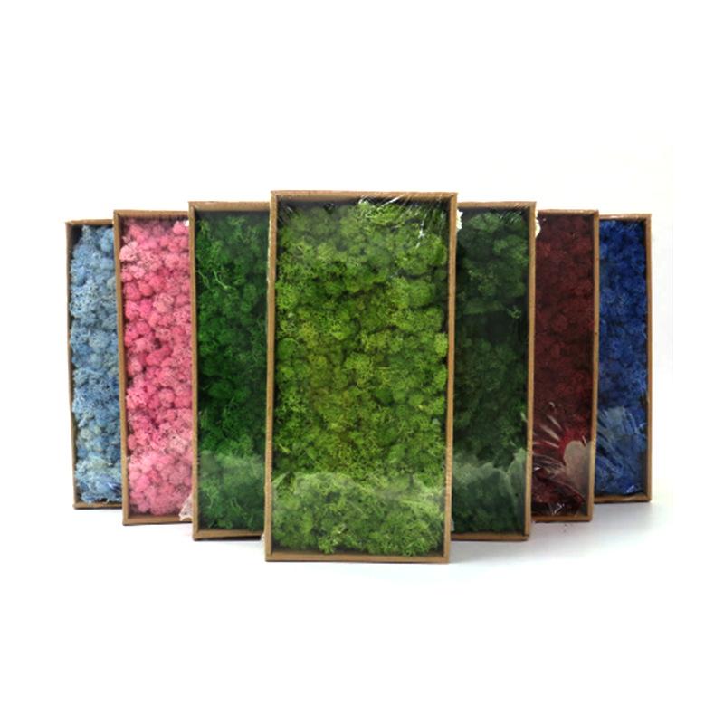 

Decorative Flowers & Wreaths 20g High Quality Artificial Immortal Moss Simulation Green Grass Home Decoration Wall DIY Micro Landscape Acces, Purple