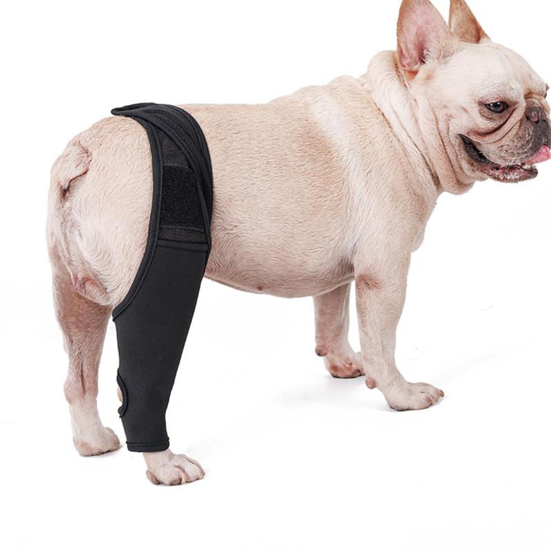 

Dog Car Seat Covers Recovery Sleeve After Wear Thigh Wound Protective Compression Brace For