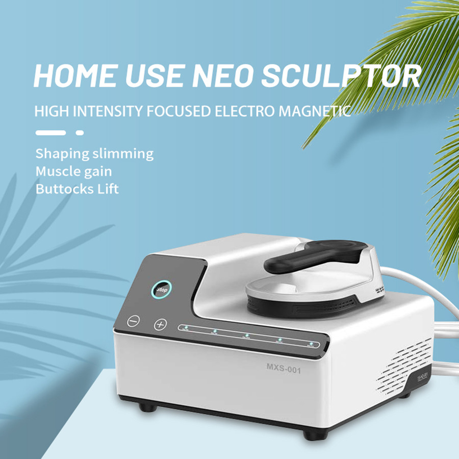 Mini Home Use hiemt Weight lose Portable Electromagnetic Body shape Slimming Muscle Stimulate fat burner build muscle Body Contouting Machine with R