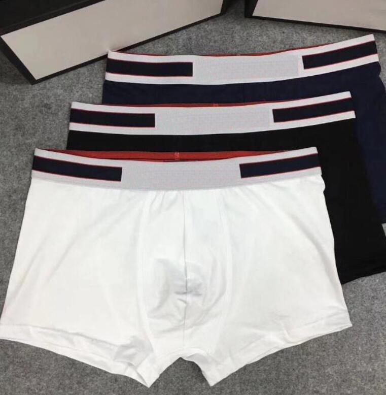

3pcs Designers Brand Mens Boxer Underpants 2021 Fashion Sexy Underwear Men Boxers Cotton Underwears Male Brief UnderPanties, White 3pcs