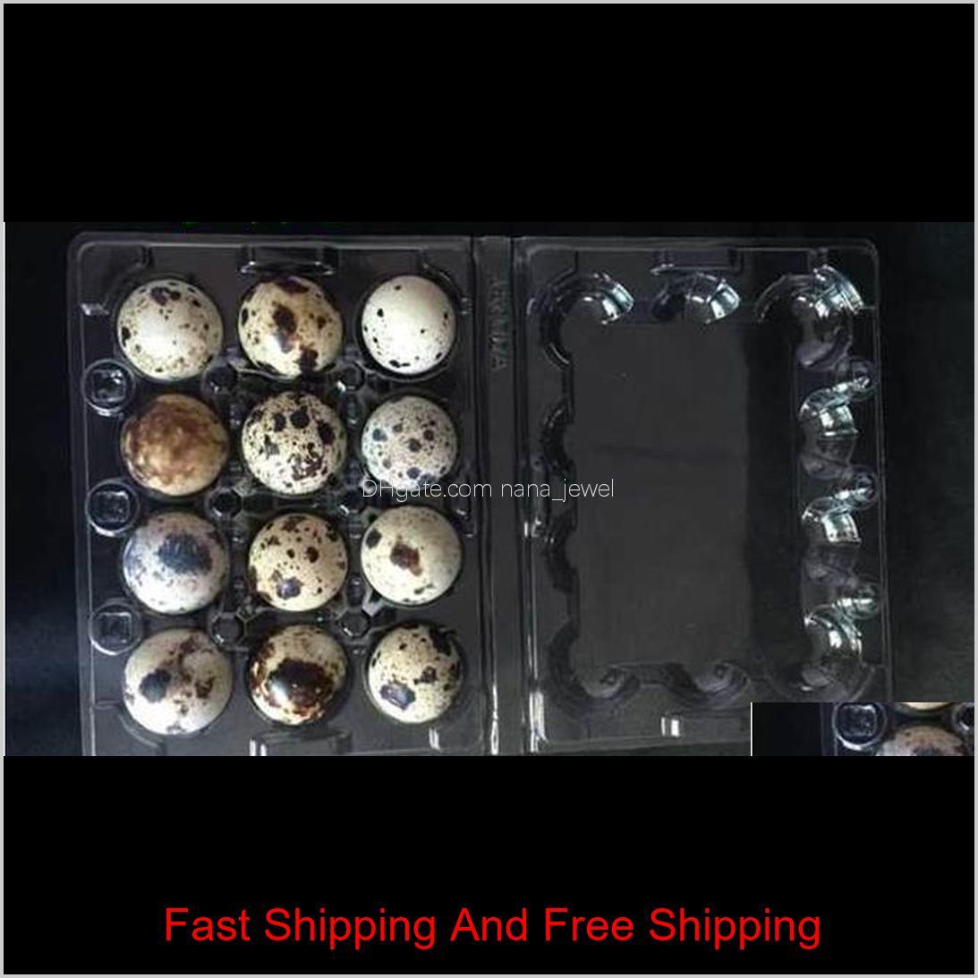

1000 Pcs/Lot 12 Holes Quail Egg Containers Plastic Egg Boxes D28Mm/H39Mm Ifvy0 Lfpob