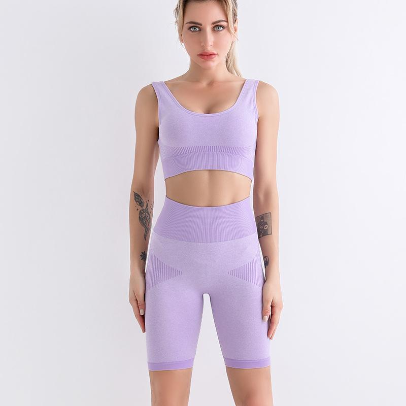 

Yoga Outfit Women Seamless Set Fitness Suit Sports Wear Solid Color Bra & Shorts 2 Piece High Waist Running Legging Workout Sets, Purple
