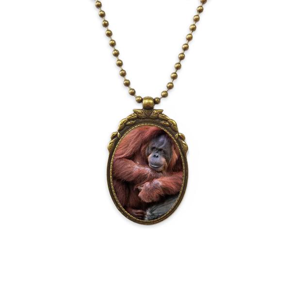 

Pendant Necklaces Terrestrial Organism Wild Animal Orang-utan Antique Brass Necklace Vintage Jewelry Deluxe Gift