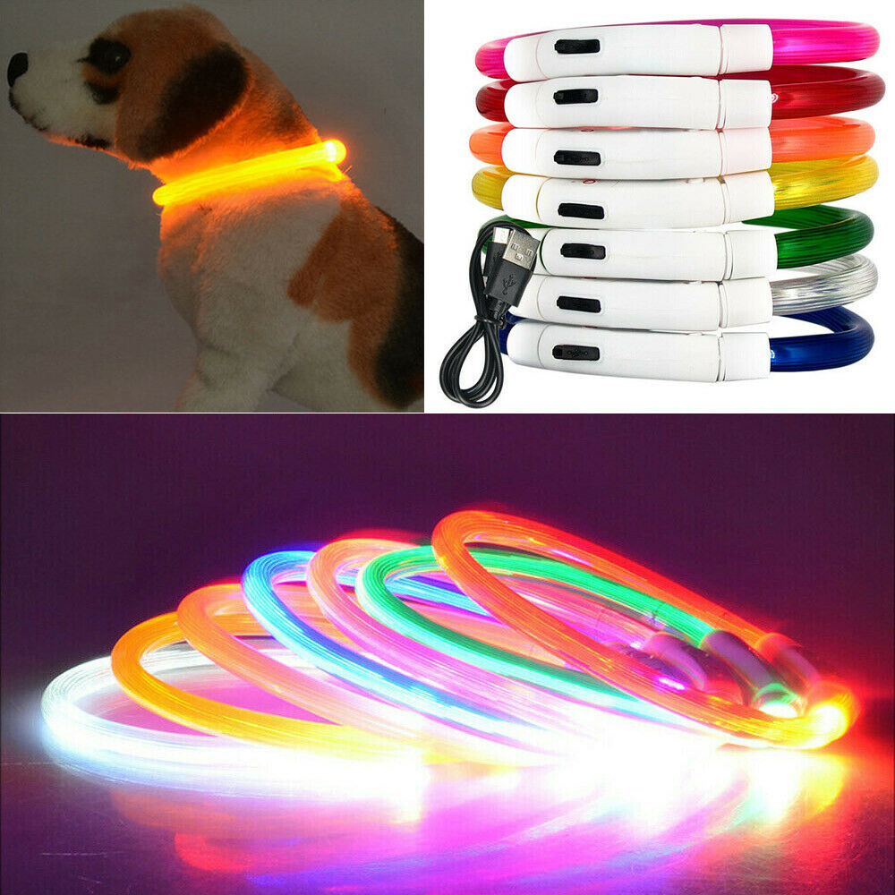 

Night Glowing Flashing Novelty Lighting LED Dog Collar Lights Pet Puppy Neck Ring USB Rechargeable Waterproof Safety