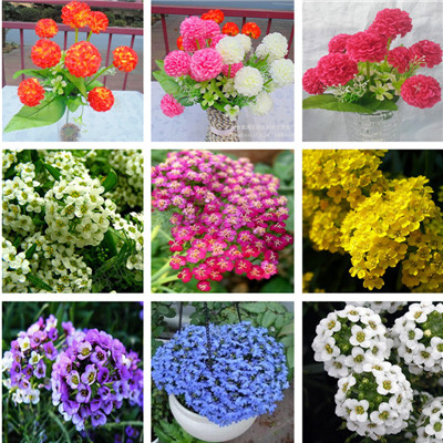 

100 Pcs seeds alyssum Bonsai Flower Plants , Ground Cover Perennial Flowers for Home Garden Ligh Up Your Garden Purify The Air Absorb Harmful Gases Aerobic Potted