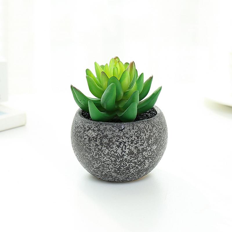 

Bonsai Set Artificial Succulent Plants Simulation Cacti Realistic And Natural For Outdoor Garden Home Balcony Decoration, Multicolor a2