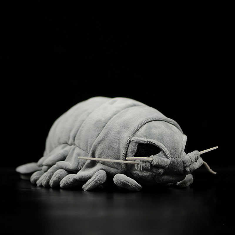 

Sea Creature Giant Isopod Realistic Stuffed Animal Toy Soft Bathynomus Giganteus Crustaceans Plush Toy 30 Cm Long Q0727, White