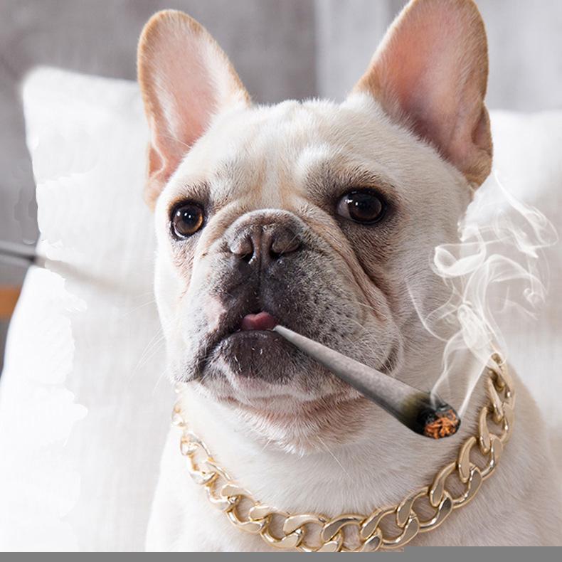 

Dog Collars & Leashes Fashion Metal Chain Collar Heavy Duty Training Pitbull Pet Necklace For Small Medium Large Dogs Cuban