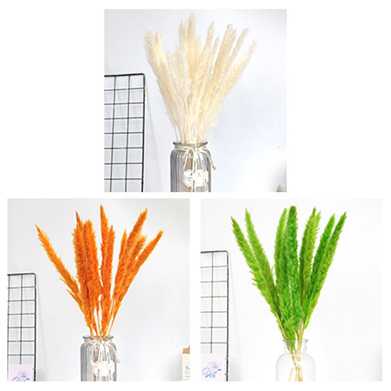 

15Pcs Reed Natural Home Bunch Dried Pampas Wedding Flower Bunch Home Decor