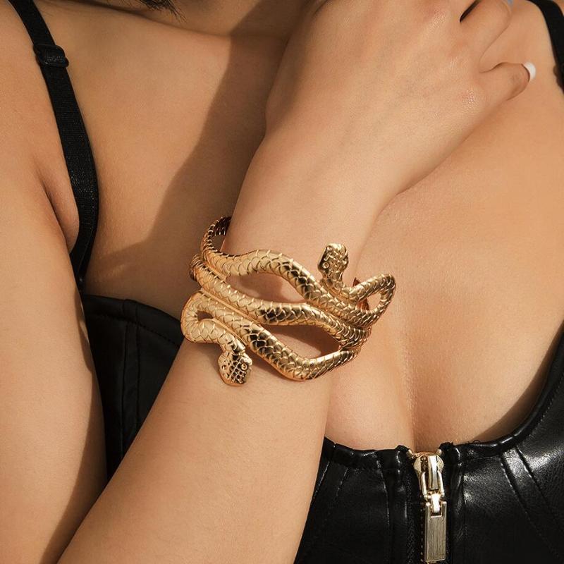 

Bangle Double Snakes Wrapped Punk Metal Cuff For Women