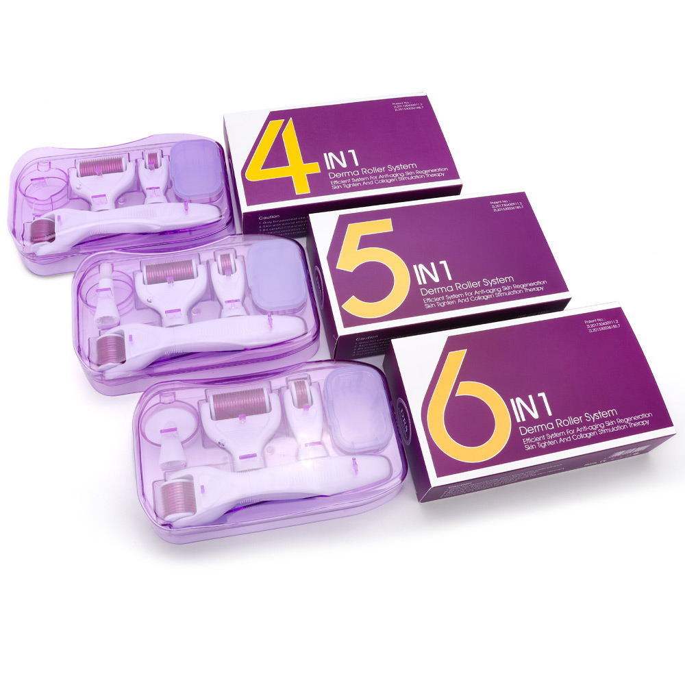 Wholesale 4/5/6 In 1 Derma Roller Micro Needle Roller Kit Micro Needles Titanium Microneedle Mezoroller Machine Skin Care BodyTreatment-image-717740507