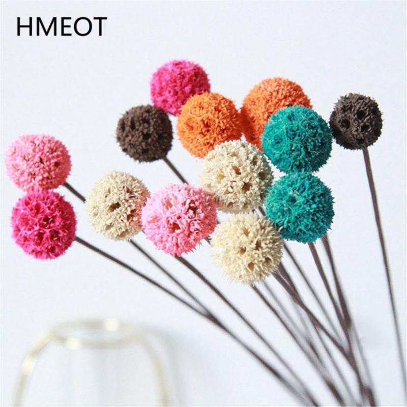 

5pcs Natural Dried Flowers Real Passepartout Maple Fruit Dried Plants DIY Wedding Flower Arrangement Home Decoration Photo Props, Beige