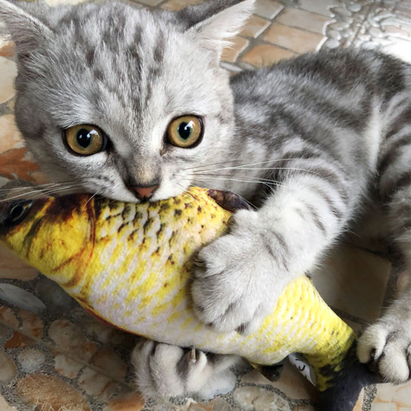 

Pet Soft Plush 3D Fish Shape Cat Bite Resistant Toy Interactive Gift Fish Catnip Toys Stuffed Pillow Doll Simulation Fish Playing Toy 128 V2