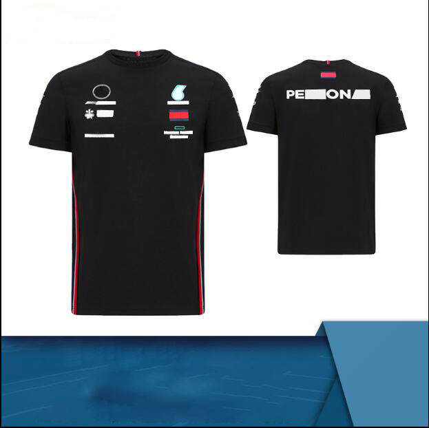 F1 Team Racing T-shirt Polyester quick-drying round neck downhill jersey for fans, same style customization-image-659355812