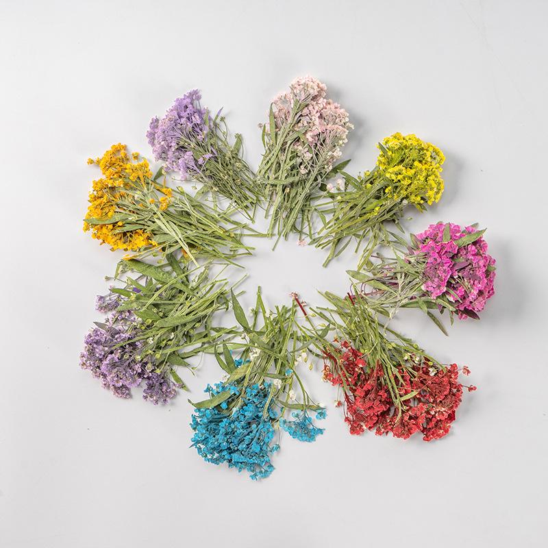 

Decorative Flowers & Wreaths 120Pcs/500pcs Natural Pressed Dried Lobularia Maritima Flower Leaf Necklace Making Craft DIY Accessories Artifi