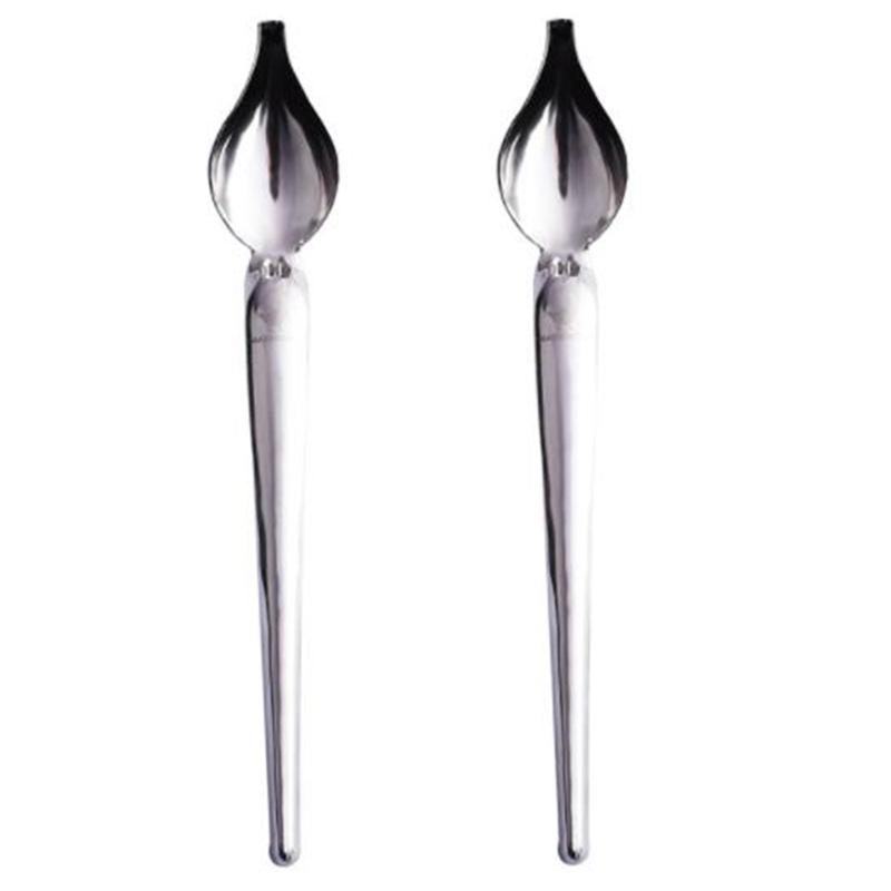 

2 Pcs Stainless Steel Culinary Precision Drawing Deco Spoon Set, Sauce Drizzle Spoon Plate Decorating