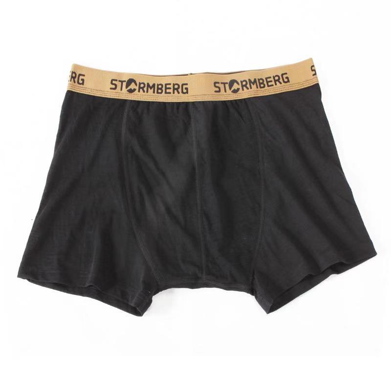 

2021 New 100% Merino Wool Men's Underwear Men Boxer Briefs Underpants Lightweight 160g Quick Dry Breathable Usa Size M- N9od, Black 2