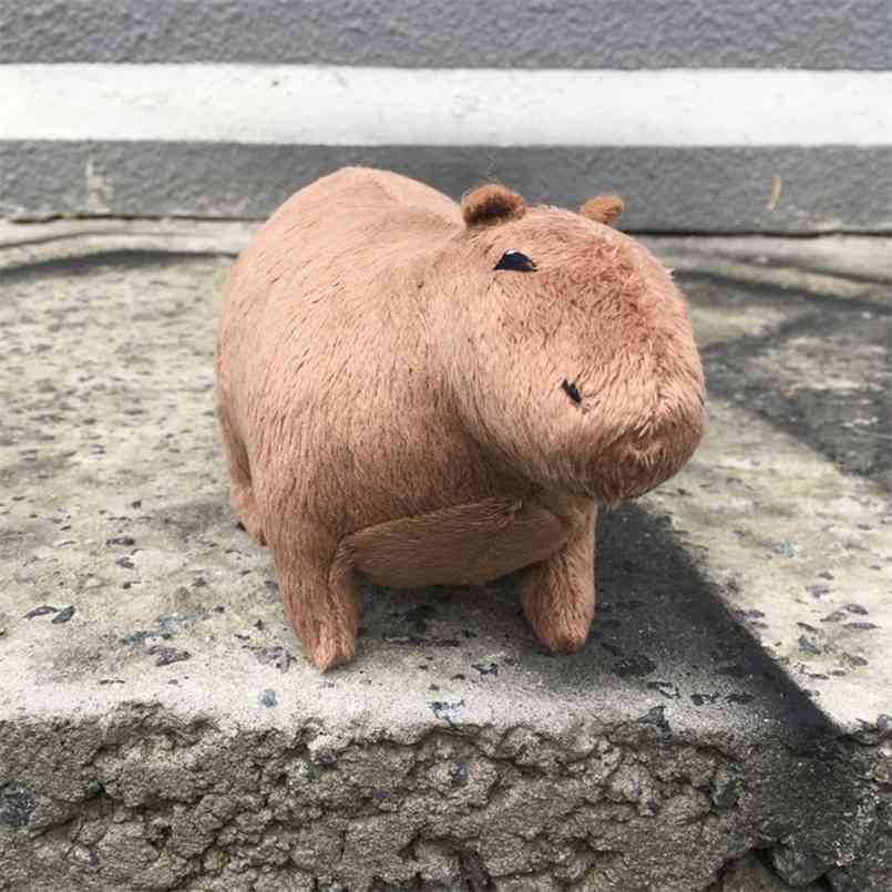 

6.5'' Reallilfe Capybara Plush Toy Cute Brown Capybara Plush Doll Fluffy Stuffed Animals Boys Birthday Gift Kids Home Decor 210825, Multicolor