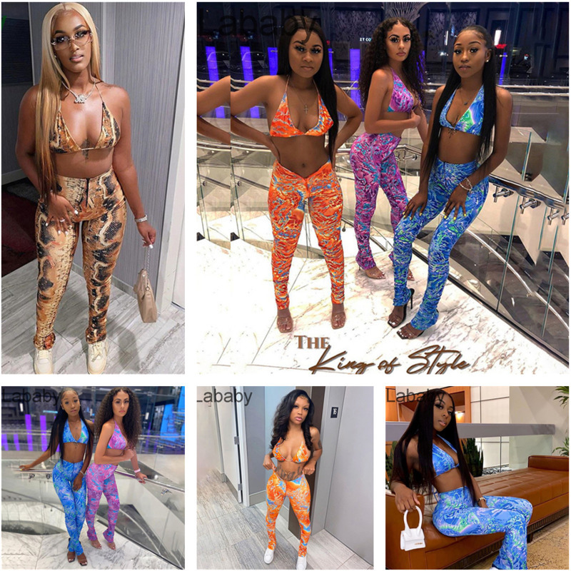 

Women Wind New Designer Clothes 2021 Spring Fashion Slim Sexy Snake Printed Sports Suit Tracksuits, Gray